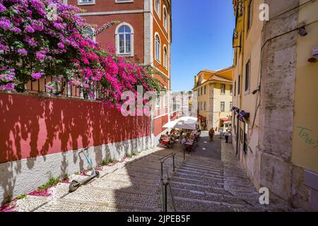 Lissabon, Portugal, Straße in der Altstadt. Calcada do Duque mit der Burg auf dem gegenüberliegenden Hügel. Typische Bougainvillea-Büsche. Stockfoto