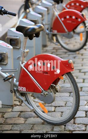 Gros Plan sur des vélos aux couleurs et Logo de la ville de Lyon. Lyon. Rhône. Auvergne-Rhône-Alpes. Frankreich. Europa. Stockfoto