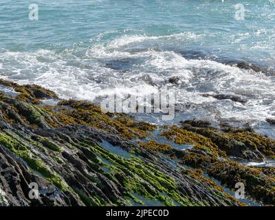 Schaum auf den Wellen und Küstenfelsen. Algen auf Felsen, Landschaft. Grünes Moos auf Felsen in der Nähe des Wassers Stockfoto