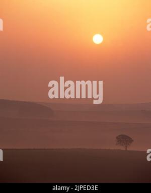 Morgensonne über South Downs, Sussex, Großbritannien Stockfoto