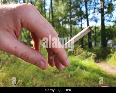 Detail einer Hand, die ein Marihuana- oder Unkrautgelenk hält, im Freien abgebildet. Stockfoto