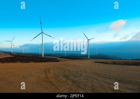 Windmühlen am Windpark, Coquimbo Region, Chile Stockfoto