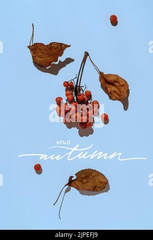 Herbstkomposition. Rahmen aus getrockneten Blättern auf blauem Hintergrund. Flach liegend Stockfoto