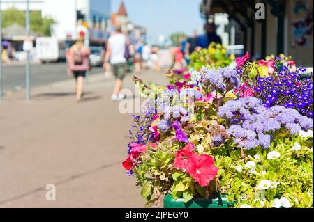 Ein Topf mit Blumen auf der Straße mit Menschen, die an einem heißen, sonnigen Tag in Skegness im Hintergrund vorbeilaufen Stockfoto