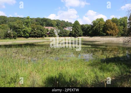 Dégradation écologique. Les étangens de Corot. Ville d’Avray. Haut-de-seine. Ile-de-France. Frankreich. Europa. Stockfoto