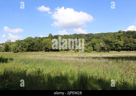 Dégradation écologique. Les étangens de Corot. Ville d’Avray. Haut-de-seine. Ile-de-France. Frankreich. Europa. Stockfoto