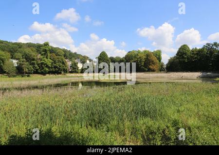 Dégradation écologique. Les étangens de Corot. Ville d’Avray. Haut-de-seine. Ile-de-France. Frankreich. Europa. Stockfoto