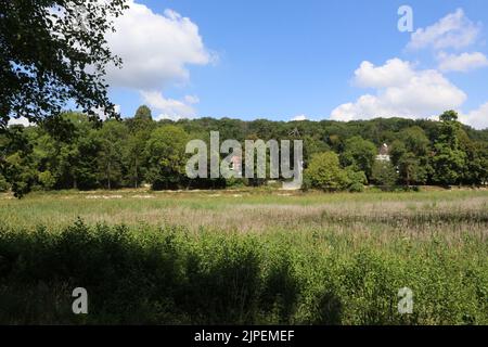 Dégradation écologique. Les étangens de Corot. Ville d’Avray. Haut-de-seine. Ile-de-France. Frankreich. Europa. Stockfoto