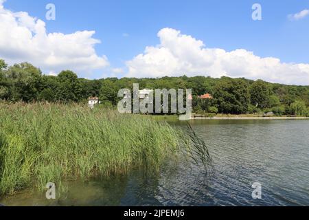 Dégradation écologique. Les étangens de Corot. Ville d’Avray. Haut-de-seine. Ile-de-France. Frankreich. Europa. Stockfoto