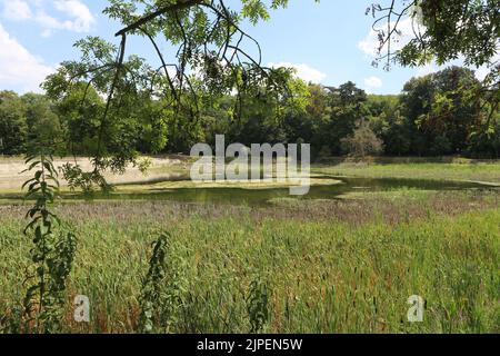 Dégradation écologique. Les étangens de Corot. Ville d’Avray. Haut-de-seine. Ile-de-France. Frankreich. Europa. Stockfoto