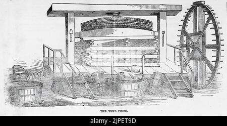 Eine Weinpresse aus der französischen Champagne (1860). Champagnerhaus Heidsieck und Co. Illustration aus Frank Leslie's Illustrated Newspaper Stockfoto