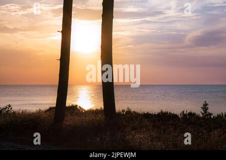 Malerischer pastellfarbener Sonnenuntergang mit Baumstämmen an der Ostsee. Minimalistische Landschaft mit untergehenden Sonnenstrahlen. Stockfoto