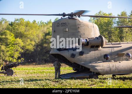 Ein Hubschrauber vom Typ Boeing CH-47 Chinook, der dem General Support Aviation Bataillon 1., 111. Aviation Regiment, zugewiesen wurde, landet während der Operation Northern Strike in Camp Grayling, Michigan, 8.. August 2022. Northern Strike bietet Soldaten eine Möglichkeit, ihre Fähigkeiten zu trainieren und zu testen, um sich schnell einzusetzen, das Theater zu spielen und in einem entscheidenden Aktionsumfeld zeitnahe Unterstützung zu leisten. Stockfoto