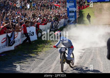 06. August 2022: Finn Iles aus Kanada (3) blickt nach der Ziellinie zurück auf den Zeittakt, der das menÕs Downhill Finale während des Mercedes-Benz UCI Mountain Bike World Cup 2022 in Mont-Sainte-Anne in Beaupre, Quebec, Kanada, gewann. Daniel Lea/CSM Stockfoto