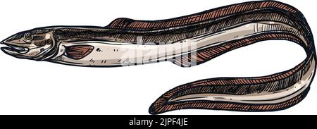 Elektrischer Aal isoliert Aal-Form Unterwasser Fisch Skizze. Vector Messerfisch Elektrophorus electricus, exotische Fische bewohnen Wasser. Elektrischer Meeraal, Meerestier unter Wasser. Ungekochte frische Aale von Hand gezeichnet Stock Vektor