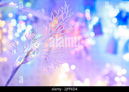 Eleganter weißer Zweig auf dem Hintergrund von rosa, blauen Weihnachtsbeleuchtung Bokeh. Weihnachtliches Hintergrundkonzept. Hochwertige Fotos Stockfoto