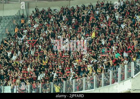 Curitiba, Brasilien. 17. August 2022. PR - Curitiba - 08/17/2022 - 2022 BRAZILIAN CUP, ATHLETICO-PR X FLAMENGO - Flamengo-Fans während eines Spiels gegen Athletico-PR im Stadion Arena da Baixada zur Copa do Brasil Meisterschaft 2022. Foto: Robson Mafra/AGIF/Sipa USA Quelle: SIPA USA/Alamy Live News Stockfoto