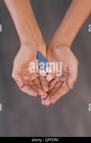 Die kleinen Dinge im Leben. Eine unkenntliche Frau, die gesprenkelte Eier und ein blaues Blatt vor grauem Hintergrund hält. Stockfoto