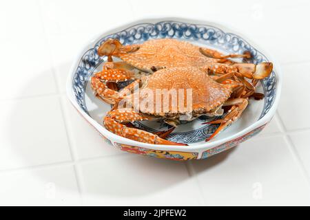 Gedämpfte blaue Krabbe oder Rajungan auf chinesischer Keramikplatte auf weißem Hintergrund serviert, Lebensmittelzubereitung. Platz für Text kopieren Stockfoto