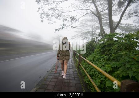 Person, die an einem nebligen Morgen, umgeben von Wäldern, auf einem Pfad geht. Fotografin, die allein mit der Kamera auf dem Bürgersteig läuft. Stockfoto