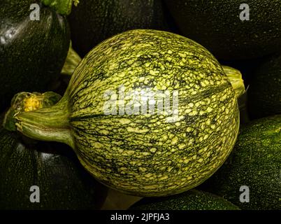 Frischer grüner Kürbis auf dem Markt Stockfoto