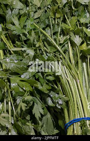 Frische Trauben von Flat Leaf Petersilie auf einem Lebensmittelmarkt Stockfoto