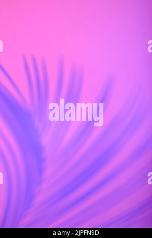 Tropische Blätter in Neonlicht mit Duoton-Schatten Stockfoto
