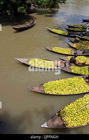 Barisal, Barisal, Bangladesch. 18. August 2022. Ein schwimmender Guava-Markt im südlichen Barisal-Distrikt des Landes, bekannt als ''das Venedig von Bengalen'', ist jetzt mit Käufern und Verkäufern in Swarupkathi, Barisal, Bangladesch, überfüllt, da die Ernte der Guava auf dem Höhepunkt ist. Es gibt Hunderte von Booten, die mit Guava gefüllt sind, und alle Geschäfte finden auf Booten statt. Da Barisal mit einem jährlichen Produktionsvolumen von mehr als 15.000 Tonnen der größte Erzeuger der einheimischen Guava-Sorten im Land ist, verlassen sich die Landwirte stark auf die Guava-Landwirtschaft. Kredit: ZUMA Press, Inc./Alamy Live Nachrichten Stockfoto