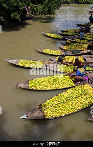 Barisal, Barisal, Bangladesch. 18. August 2022. Ein schwimmender Guava-Markt im südlichen Barisal-Distrikt des Landes, bekannt als ''das Venedig von Bengalen'', ist jetzt mit Käufern und Verkäufern in Swarupkathi, Barisal, Bangladesch, überfüllt, da die Ernte der Guava auf dem Höhepunkt ist. Es gibt Hunderte von Booten, die mit Guava gefüllt sind, und alle Geschäfte finden auf Booten statt. Da Barisal mit einem jährlichen Produktionsvolumen von mehr als 15.000 Tonnen der größte Erzeuger der einheimischen Guava-Sorten im Land ist, verlassen sich die Landwirte stark auf die Guava-Landwirtschaft. Kredit: ZUMA Press, Inc./Alamy Live Nachrichten Stockfoto