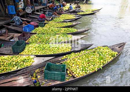 Barisal, Barisal, Bangladesch. 18. August 2022. Ein schwimmender Guava-Markt im südlichen Barisal-Distrikt des Landes, bekannt als ''das Venedig von Bengalen'', ist jetzt mit Käufern und Verkäufern in Swarupkathi, Barisal, Bangladesch, überfüllt, da die Ernte der Guava auf dem Höhepunkt ist. Es gibt Hunderte von Booten, die mit Guava gefüllt sind, und alle Geschäfte finden auf Booten statt. Da Barisal mit einem jährlichen Produktionsvolumen von mehr als 15.000 Tonnen der größte Erzeuger der einheimischen Guava-Sorten im Land ist, verlassen sich die Landwirte stark auf die Guava-Landwirtschaft. Kredit: ZUMA Press, Inc./Alamy Live Nachrichten Stockfoto