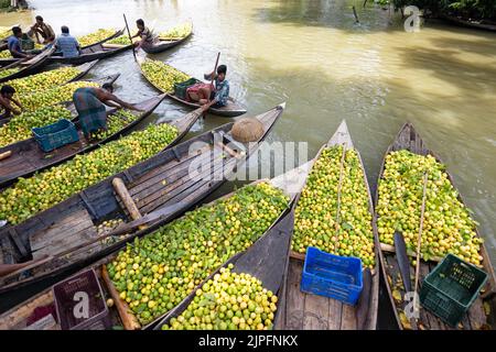 Barisal, Barisal, Bangladesch. 18. August 2022. Ein schwimmender Guava-Markt im südlichen Barisal-Distrikt des Landes, bekannt als ''das Venedig von Bengalen'', ist jetzt mit Käufern und Verkäufern in Swarupkathi, Barisal, Bangladesch, überfüllt, da die Ernte der Guava auf dem Höhepunkt ist. Es gibt Hunderte von Booten, die mit Guava gefüllt sind, und alle Geschäfte finden auf Booten statt. Da Barisal mit einem jährlichen Produktionsvolumen von mehr als 15.000 Tonnen der größte Erzeuger der einheimischen Guava-Sorten im Land ist, verlassen sich die Landwirte stark auf die Guava-Landwirtschaft. Kredit: ZUMA Press, Inc./Alamy Live Nachrichten Stockfoto