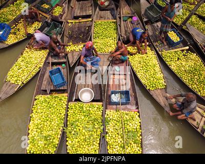 Barisal, Barisal, Bangladesch. 18. August 2022. Ein schwimmender Guava-Markt im südlichen Barisal-Distrikt des Landes, bekannt als ''das Venedig von Bengalen'', ist jetzt mit Käufern und Verkäufern in Swarupkathi, Barisal, Bangladesch, überfüllt, da die Ernte der Guava auf dem Höhepunkt ist. Es gibt Hunderte von Booten, die mit Guava gefüllt sind, und alle Geschäfte finden auf Booten statt. Da Barisal mit einem jährlichen Produktionsvolumen von mehr als 15.000 Tonnen der größte Erzeuger der einheimischen Guava-Sorten im Land ist, verlassen sich die Landwirte stark auf die Guava-Landwirtschaft. Kredit: ZUMA Press, Inc./Alamy Live Nachrichten Stockfoto