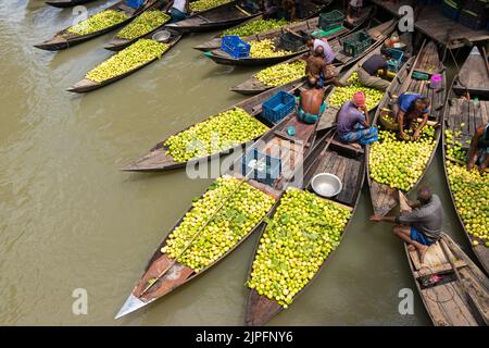 Barisal, Barisal, Bangladesch. 18. August 2022. Ein schwimmender Guava-Markt im südlichen Barisal-Distrikt des Landes, bekannt als ''das Venedig von Bengalen'', ist jetzt mit Käufern und Verkäufern in Swarupkathi, Barisal, Bangladesch, überfüllt, da die Ernte der Guava auf dem Höhepunkt ist. Es gibt Hunderte von Booten, die mit Guava gefüllt sind, und alle Geschäfte finden auf Booten statt. Da Barisal mit einem jährlichen Produktionsvolumen von mehr als 15.000 Tonnen der größte Erzeuger der einheimischen Guava-Sorten im Land ist, verlassen sich die Landwirte stark auf die Guava-Landwirtschaft. Kredit: ZUMA Press, Inc./Alamy Live Nachrichten Stockfoto