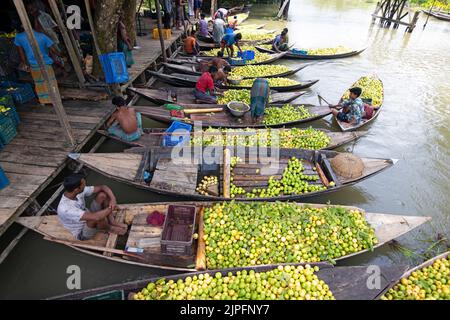 Barisal, Barisal, Bangladesch. 18. August 2022. Ein schwimmender Guava-Markt im südlichen Barisal-Distrikt des Landes, bekannt als ''das Venedig von Bengalen'', ist jetzt mit Käufern und Verkäufern in Swarupkathi, Barisal, Bangladesch, überfüllt, da die Ernte der Guava auf dem Höhepunkt ist. Es gibt Hunderte von Booten, die mit Guava gefüllt sind, und alle Geschäfte finden auf Booten statt. Da Barisal mit einem jährlichen Produktionsvolumen von mehr als 15.000 Tonnen der größte Erzeuger der einheimischen Guava-Sorten im Land ist, verlassen sich die Landwirte stark auf die Guava-Landwirtschaft. Kredit: ZUMA Press, Inc./Alamy Live Nachrichten Stockfoto