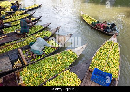 Barisal, Barisal, Bangladesch. 18. August 2022. Ein schwimmender Guava-Markt im südlichen Barisal-Distrikt des Landes, bekannt als ''das Venedig von Bengalen'', ist jetzt mit Käufern und Verkäufern in Swarupkathi, Barisal, Bangladesch, überfüllt, da die Ernte der Guava auf dem Höhepunkt ist. Es gibt Hunderte von Booten, die mit Guava gefüllt sind, und alle Geschäfte finden auf Booten statt. Da Barisal mit einem jährlichen Produktionsvolumen von mehr als 15.000 Tonnen der größte Erzeuger der einheimischen Guava-Sorten im Land ist, verlassen sich die Landwirte stark auf die Guava-Landwirtschaft. Kredit: ZUMA Press, Inc./Alamy Live Nachrichten Stockfoto