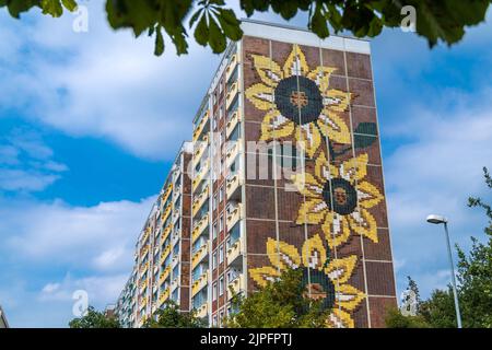 Rostock, Deutschland. 16. August 2022. Blick auf das Sonnenblumenhaus im Rostocker Stadtteil Lichtenhagen. Unter dem Applaus der Zuschauer fanden 1992 mehrere Tage lang heftige Ausschreitungen rechtsradikaler vor dem damaligen Asylbewerberheim in Rostock-Lichtenhagen statt. Auch ehemalige vietnamesische DDR-Vertragsarbeiter, die im Wohnblock lebten, wurden angegriffen. Quelle: Jens Büttner/dpa/Alamy Live News Stockfoto