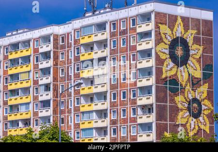 Rostock, Deutschland. 16. August 2022. Blick auf das Sonnenblumenhaus im Rostocker Stadtteil Lichtenhagen. Unter dem Applaus der Zuschauer fanden 1992 mehrere Tage lang heftige Ausschreitungen rechtsradikaler vor dem damaligen Asylbewerberheim in Rostock-Lichtenhagen statt. Auch ehemalige vietnamesische DDR-Vertragsarbeiter, die im Wohnblock lebten, wurden angegriffen. Quelle: Jens Büttner/dpa/Alamy Live News Stockfoto