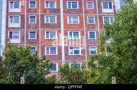 Rostock, Deutschland. 16. August 2022. Blick auf das Sonnenblumenhaus im Rostocker Stadtteil Lichtenhagen. Unter dem Applaus der Zuschauer fanden 1992 mehrere Tage lang heftige Ausschreitungen rechtsradikaler vor dem damaligen Asylbewerberheim in Rostock-Lichtenhagen statt. Auch ehemalige vietnamesische DDR-Vertragsarbeiter, die im Wohnblock lebten, wurden angegriffen. Quelle: Jens Büttner/dpa/Alamy Live News Stockfoto