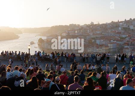 Blick vom Jardim do Morro in Vila Nova de Gaia über den Fluss Douro in Richtung Porto, Portugal Stockfoto