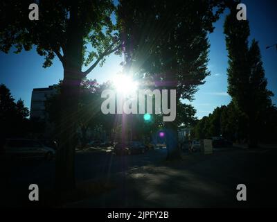 Berlin, Deutschland. 10. August 2022. Die Sonne durch Bäume in Berlin Charlottenburg am 10. August 2022. © VON XAMAX Credit: XAMAX/dpa/Alamy Live News Stockfoto