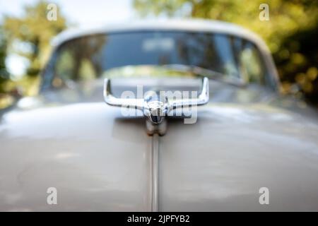 Washington, Usa. 07. August 2022. Die Kapuze Ornament eines Chevrolet aus dem Jahr 1950s. Es ist eines von mehr als 20 antiken Autos und Lastwagen, die in dem Film "Rustin" über den Bürgerrechtler Bayard Rustin verwendet werden. Der Film wird von Barack und Michelle Obamas Produktionsfirma Higher Ground Productions produziert" und wird 2023 auf Netflix debütieren. Kredit: SOPA Images Limited/Alamy Live Nachrichten Stockfoto