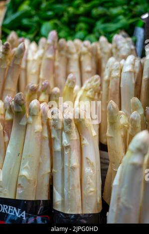 Trauben von weißem Spargelgemüse zum Verkauf auf dem Markt, saisonale Lebensmittel, Nahaufnahme Stockfoto