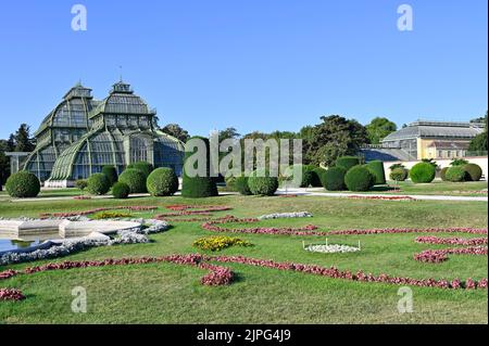 Wien, Österreich. Das Palmenhaus (L) und das Wüstenhaus (R) im Schlosspark Schönbrunn Stockfoto