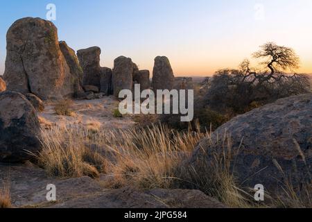 City of Rocks State Park bei Sonnenuntergang, New Mexico, USA Stockfoto