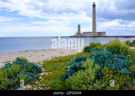 Frankreich, Gatteville-le Phare, 01.07.2022: Alter und neuer Leuchtturm von Gatteville an der Pointe de Barfleur bei Gatteville-le Phare auf der Halb Stockfoto