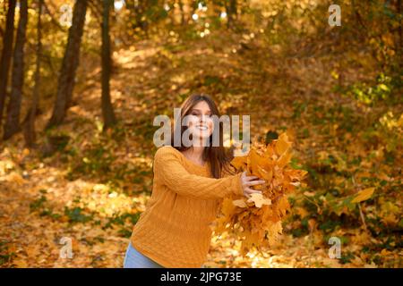 Brunette kaukasische Frau im Herbst Park Kommissionierung Goldblätter in gelb und orange Herbst Bouquet. Flache Tiefe des Feldes Stockfoto