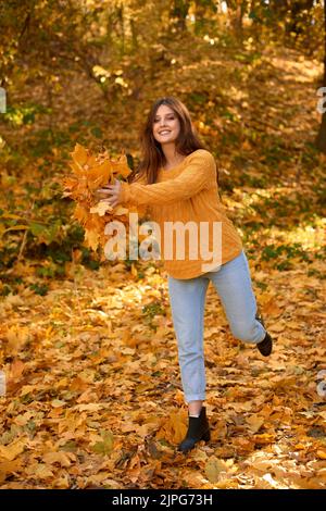 Fröhliche Mädchen Student sammelt und wirft gefallen Ahornblätter in die Luft in schönen Herbstpark oder Wald. Herbsturlaub. Flache Tiefe des Feldes ver Stockfoto