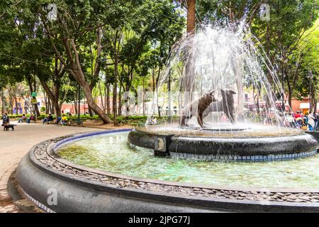 Fuente de los Coyotes in Jardin Centenario in Coyoacan, Mexiko-Stadt, Mexiko Stockfoto