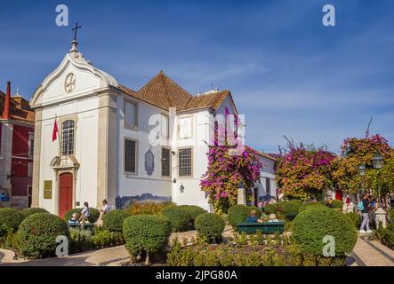 Rosa Blumen im Garten der Kirche Santa Luzia in Lissabon, Portugal Stockfoto