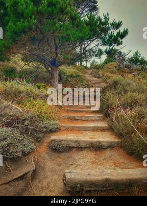 Eine vertikale Aufnahme einer Treppe, die zu einem Hügel mit grünen Bäumen und Sträuchern führt Stockfoto